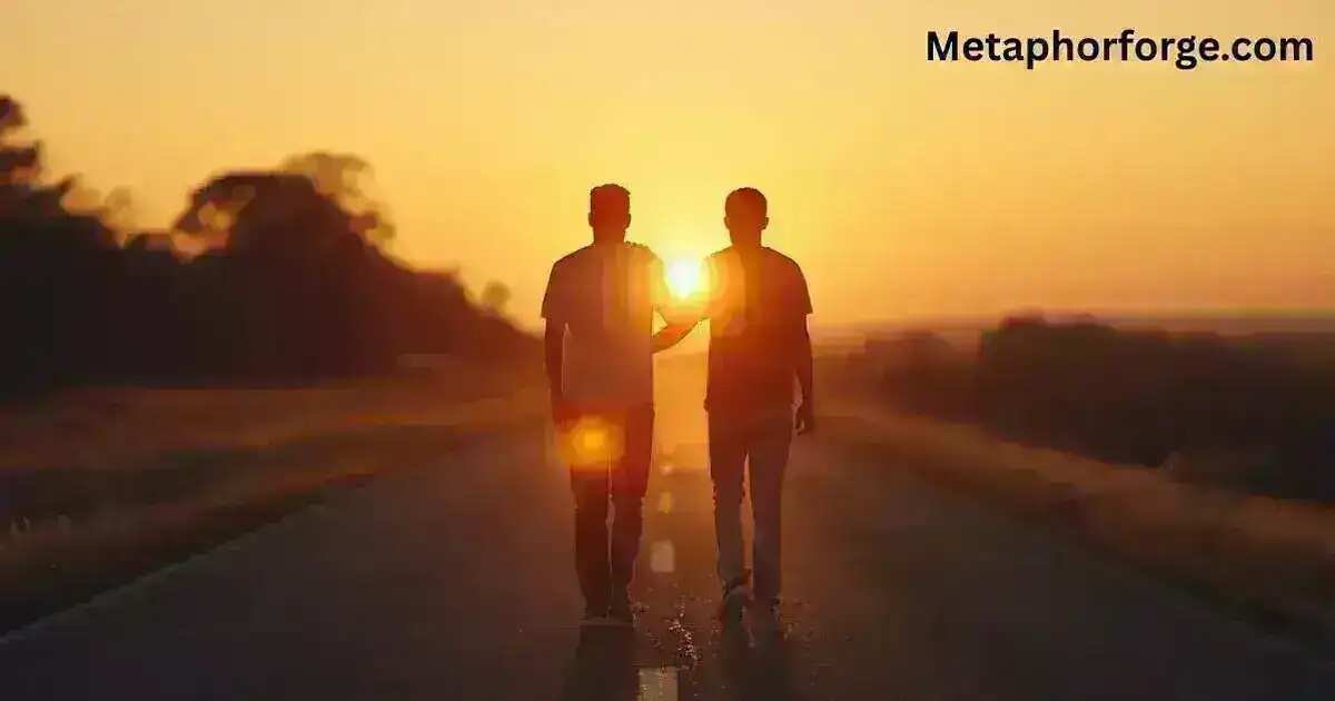 A Metaphor For Friendship