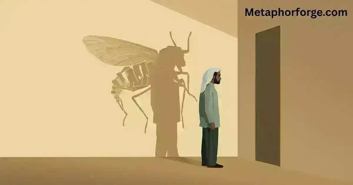 What Is The Metamorphosis a Metaphor For