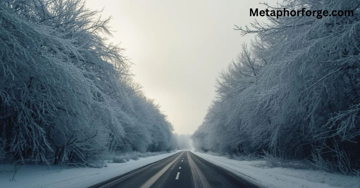 Metaphors For Winter