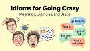 Idioms for going crazy with expressive speech bubbles and emotional reaction examples.